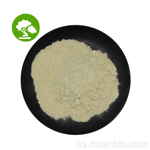 Extracto de ginseng de Panax soluble en agua de alta calidad